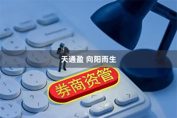 天通盈 向阳而生