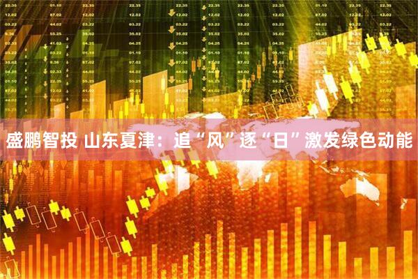 盛鹏智投 山东夏津：追“风”逐“日”激发绿色动能