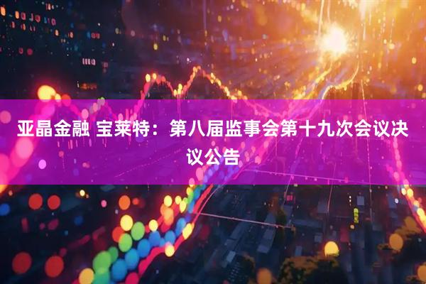 亚晶金融 宝莱特：第八届监事会第十九次会议决议公告