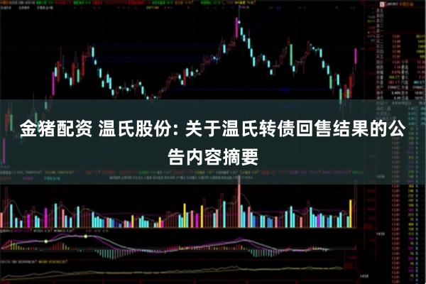 金猪配资 温氏股份: 关于温氏转债回售结果的公告内容摘要
