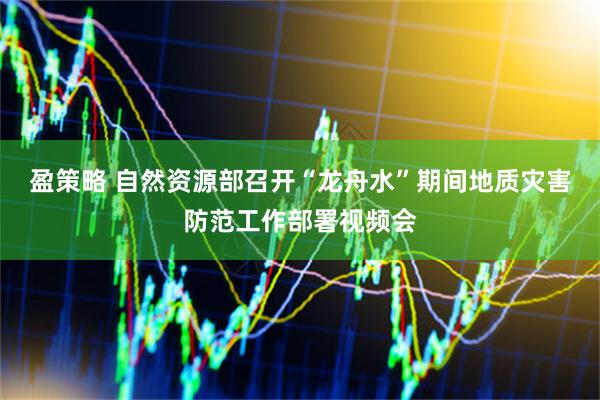 盈策略 自然资源部召开“龙舟水”期间地质灾害防范工作部署视频会
