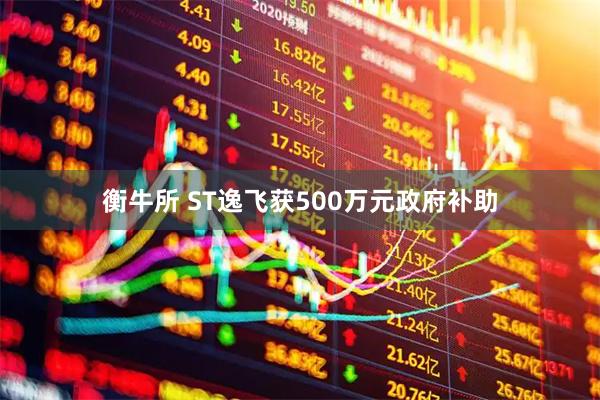 衡牛所 ST逸飞获500万元政府补助
