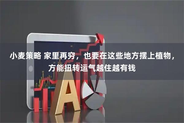 小麦策略 家里再穷，也要在这些地方摆上植物，方能扭转运气越住越有钱
