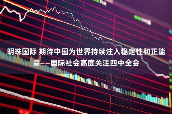 明珠国际 期待中国为世界持续注入稳定性和正能量——国际社会高度关注四中全会