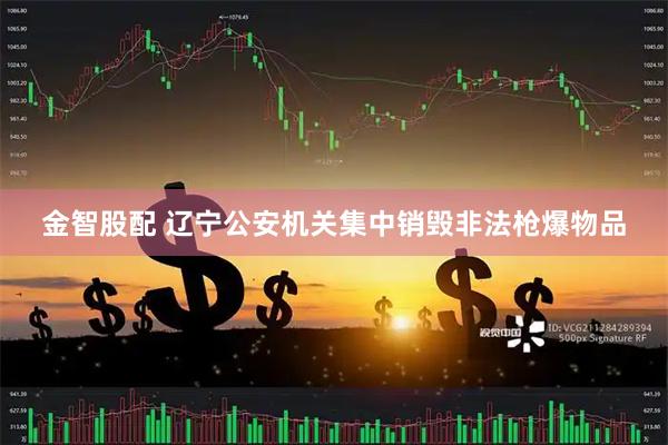 金智股配 辽宁公安机关集中销毁非法枪爆物品
