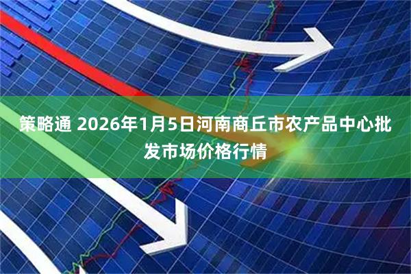 策略通 2026年1月5日河南商丘市农产品中心批发市场价格行情