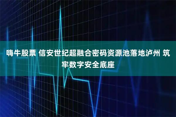 嗨牛股票 信安世纪超融合密码资源池落地泸州 筑牢数字安全底座