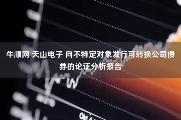 牛顺网 天山电子 向不特定对象发行可转换公司债券的论证分析报告