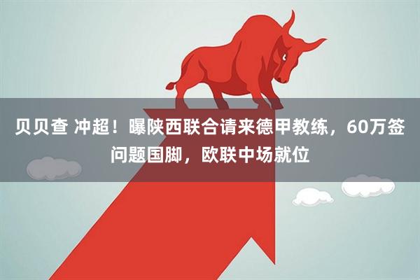 贝贝查 冲超！曝陕西联合请来德甲教练，60万签问题国脚，欧联中场就位