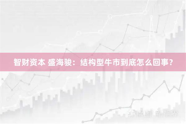 智财资本 盛海骏：结构型牛市到底怎么回事？