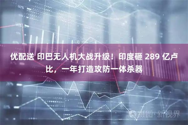 优配送 印巴无人机大战升级！印度砸 289 亿卢比，一年打造攻防一体杀器