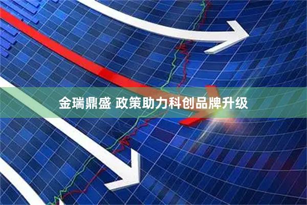 金瑞鼎盛 政策助力科创品牌升级
