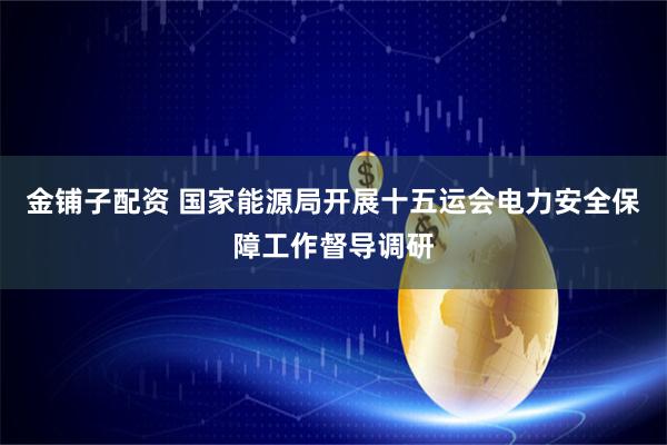金铺子配资 国家能源局开展十五运会电力安全保障工作督导调研