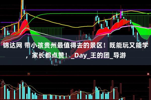 锦达网 带小孩贵州最值得去的景区！既能玩又能学，家长都点赞！_Day_王的团_导游